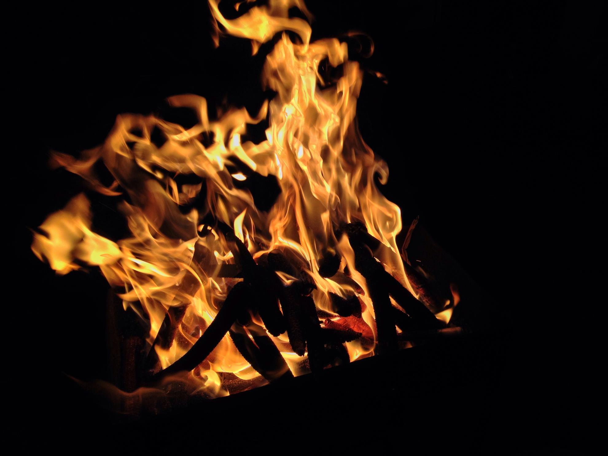 2013-4 - image1111111111.jpg